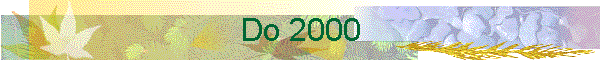 Do 2000
