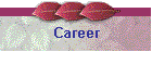 Career