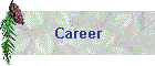 Career