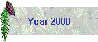 Year 2000