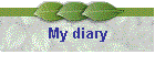 My diary